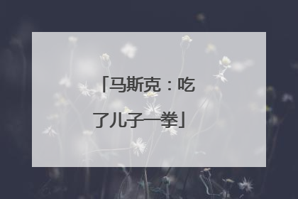 马斯克：吃了儿子一拳